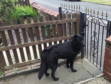 Shadow - Lancashire